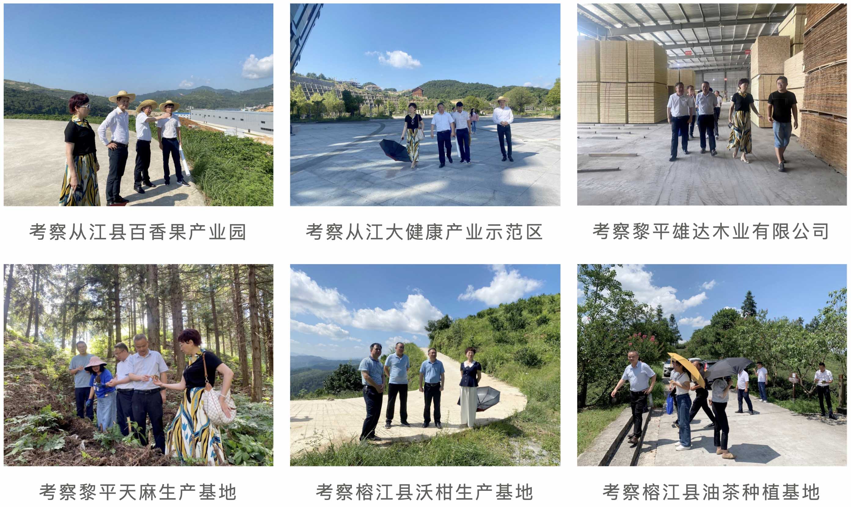 QQ20220726-222746@2x 拷貝.jpg